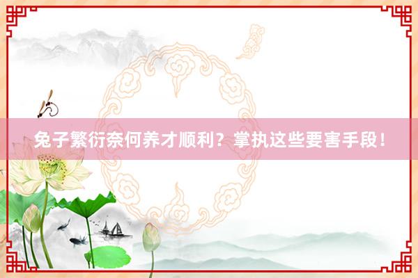 兔子繁衍奈何养才顺利？掌执这些要害手段！