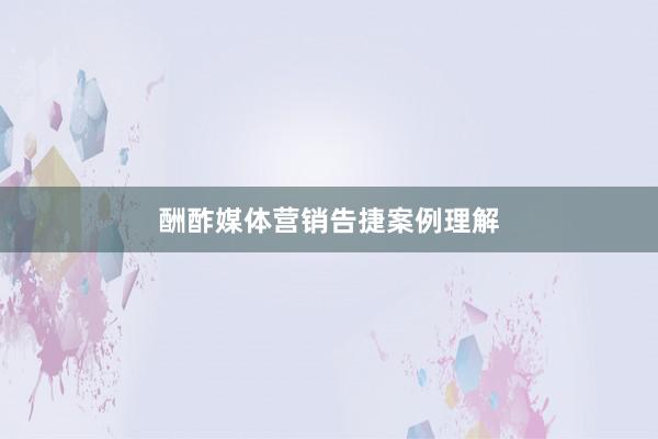 酬酢媒体营销告捷案例理解