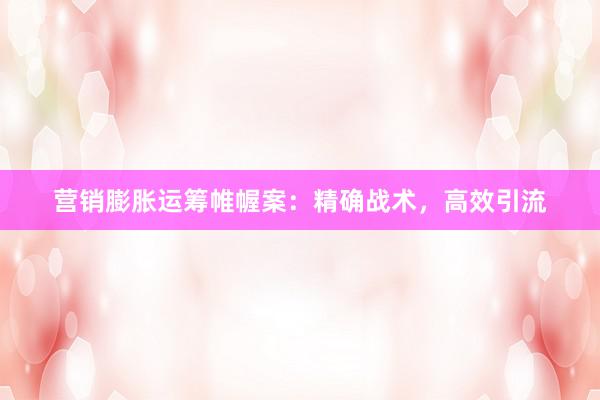 营销膨胀运筹帷幄案：精确战术，高效引流